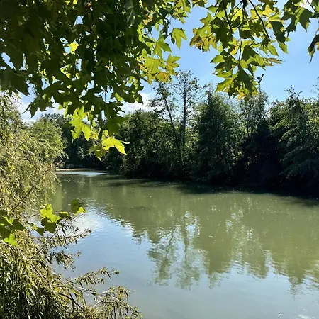L'abbaye De L'epau - Jardin - Riviere アパート ルマン