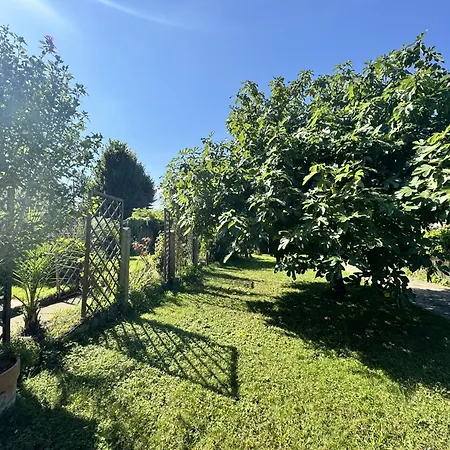 L'abbaye De L'epau - Jardin - Riviere Le Mans