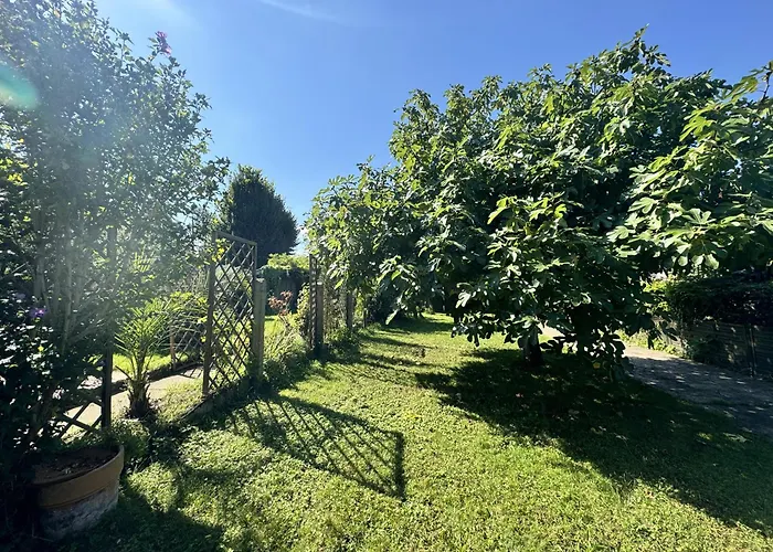 L'abbaye De L'epau - Jardin - Riviere Le Mans
